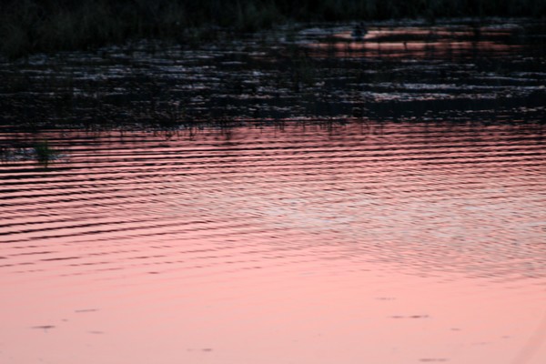 Ripples