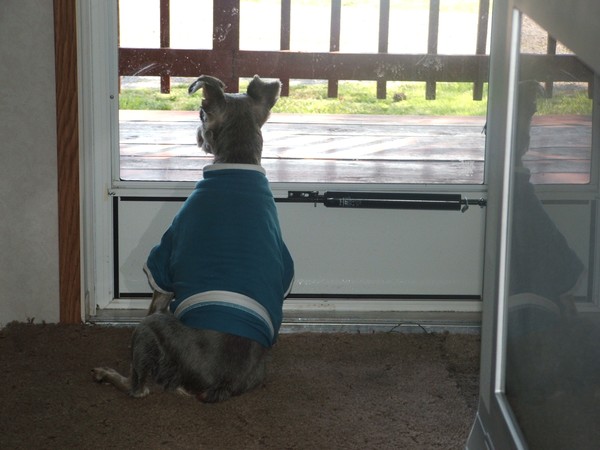 Watch Dogs