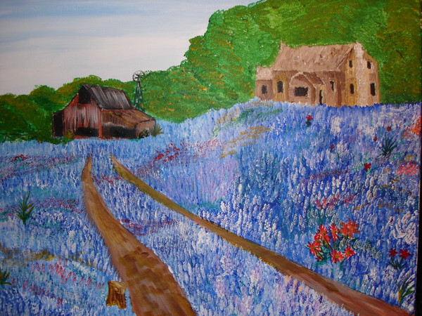 field of blue bonnets