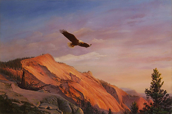 AmericanBaldEagleMountainsLandscapeOilPaintingArt