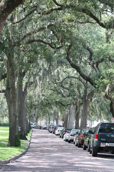 Savannah Park Area