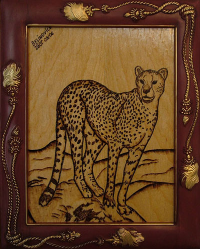 Cheetah