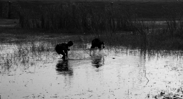 Boys Fishing together