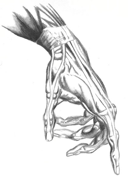 Hand
