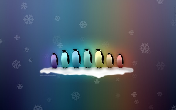 Rainbow Penguins