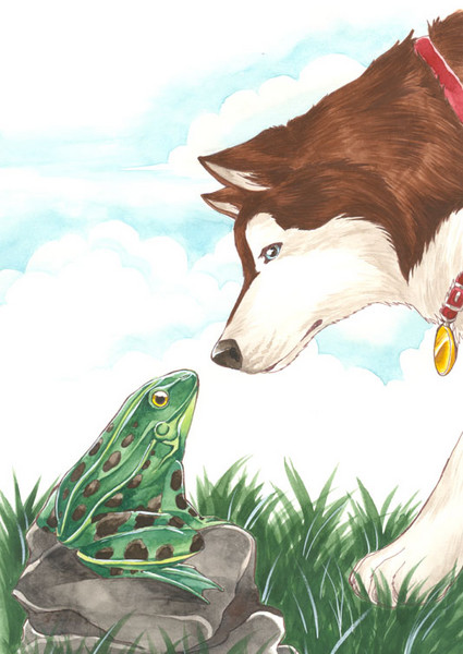 Princess 'n Frog
