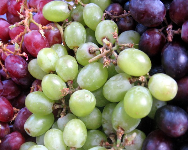 Grapes