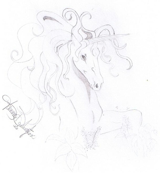 horse