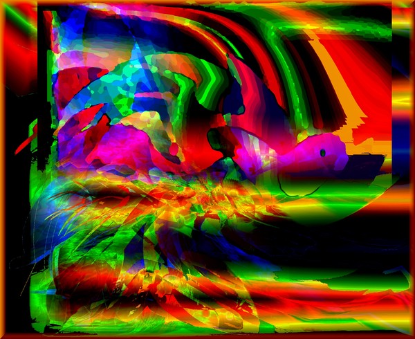 neON 60