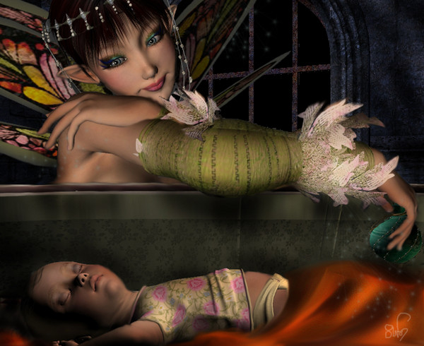 The Faery Gift