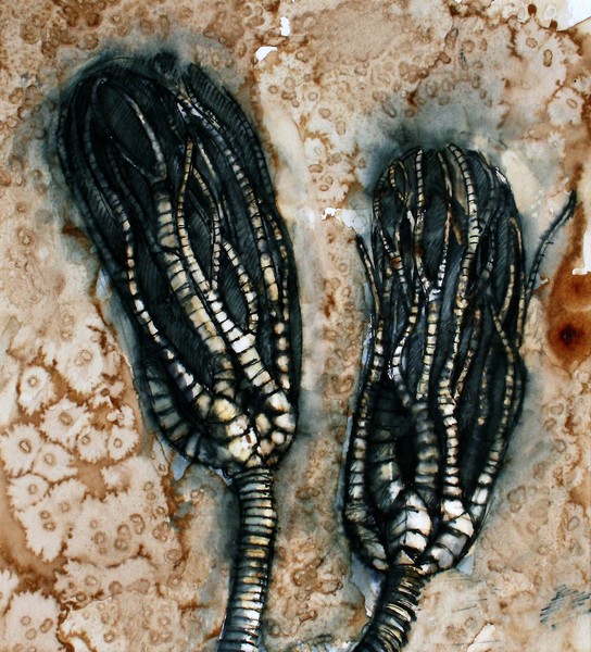 Criniod Pair