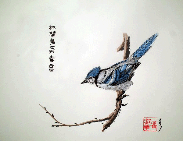 Blue Jay