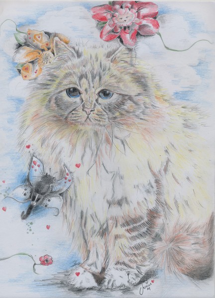 butterflybirman