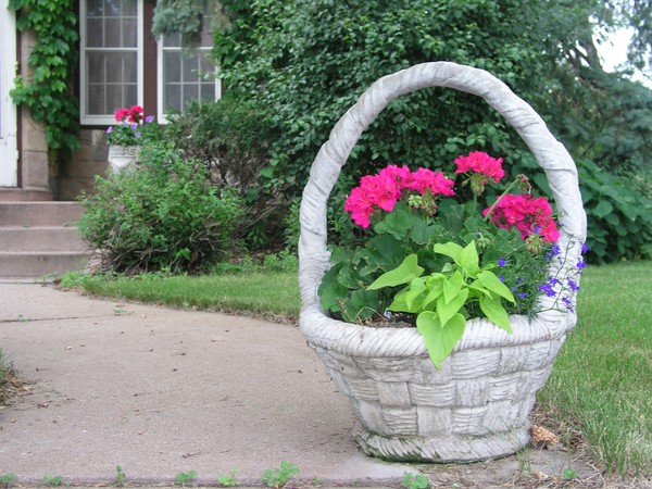 Floral #8
