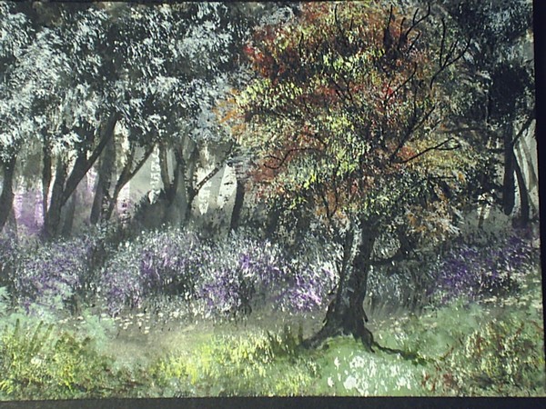 woodland trees