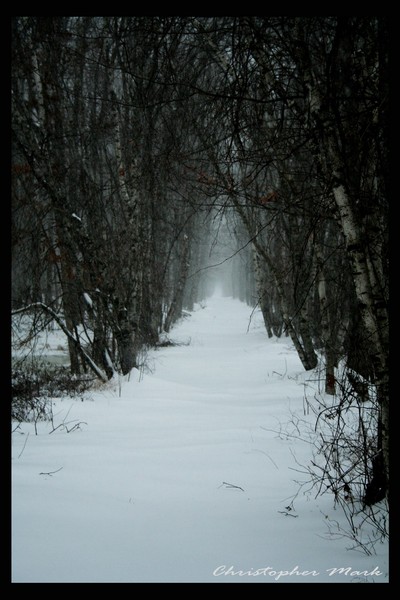 A walk