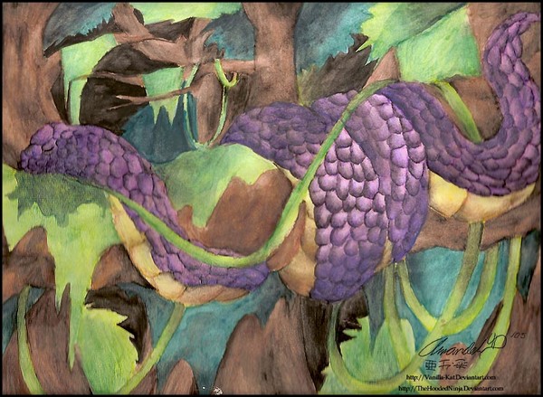 Snake in a tree