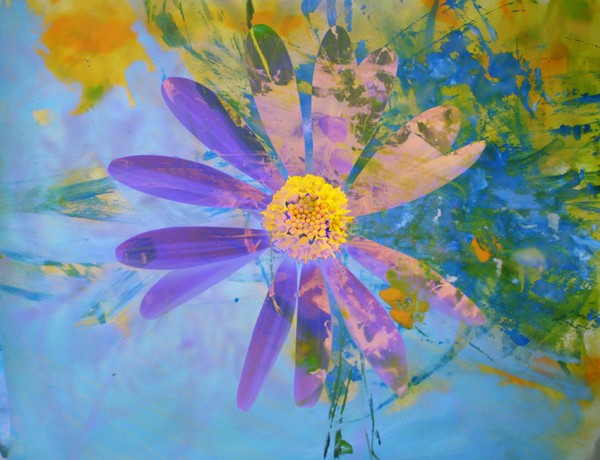 Playing in Flowers