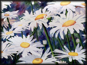 Don't Count the Daisies