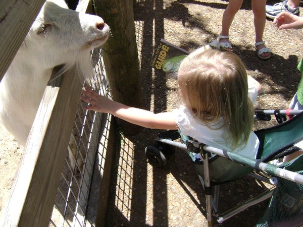 Miranda at the zoo
