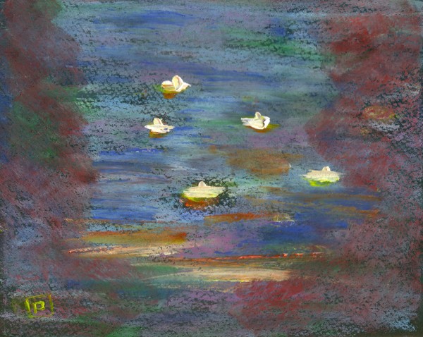 WATER LILLIES