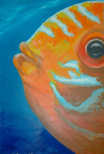 Kiss-me-Fish