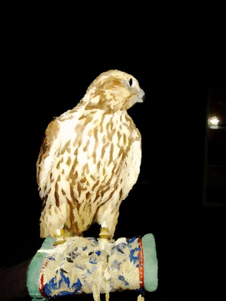 falcon on hand
