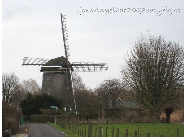 Holland is Beautiful!©