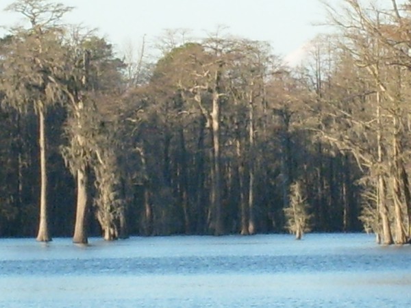 Way Down upon the Pee Dee River