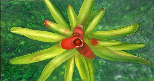 Bromélia Vermelha