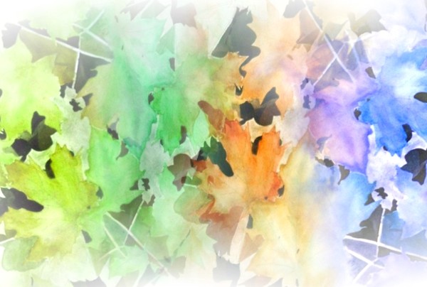 Seasons of Change