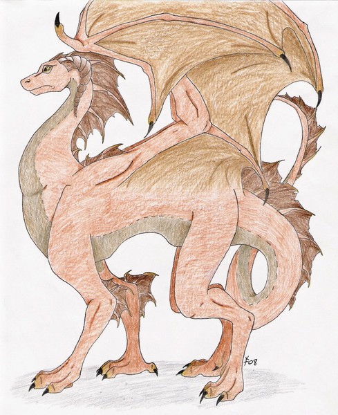 Brown Dragon