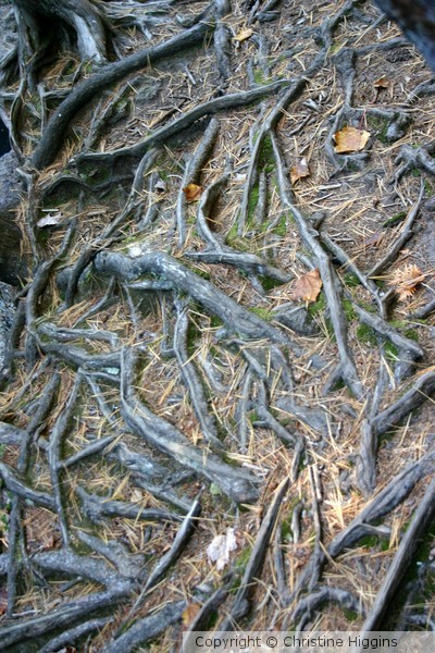 Intertwined