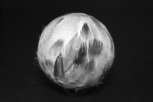 Light as a Feather