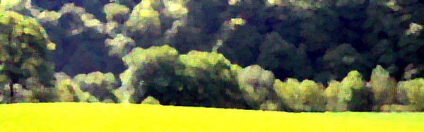 im_wuppertal