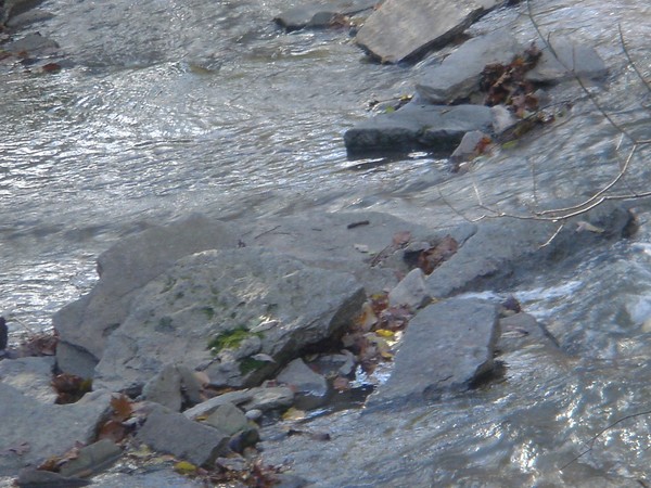 Stream