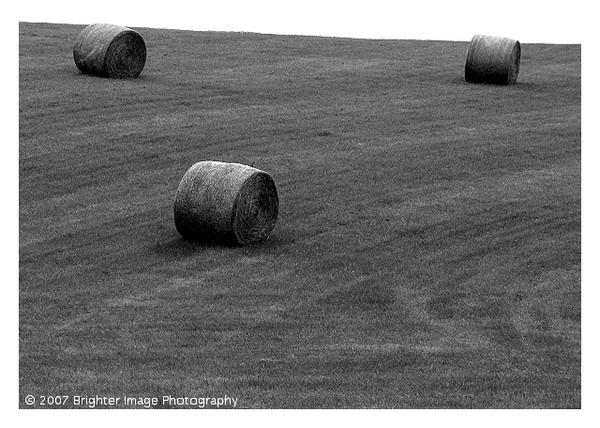 Iowa Landscape