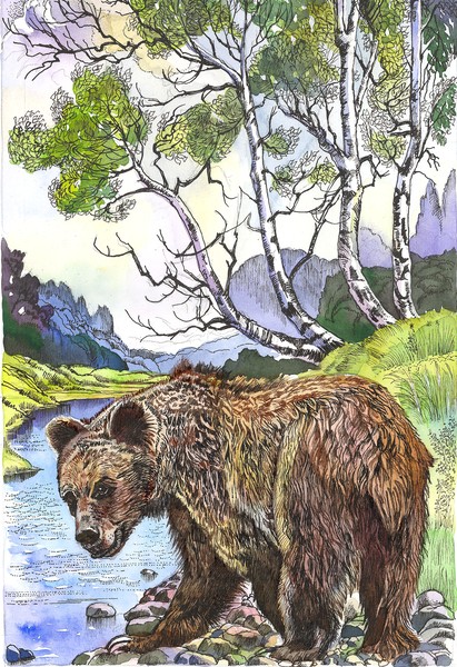 THE BEAR