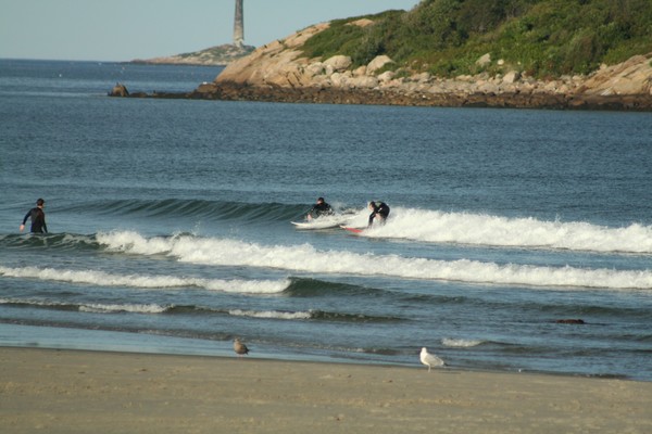Surf 3