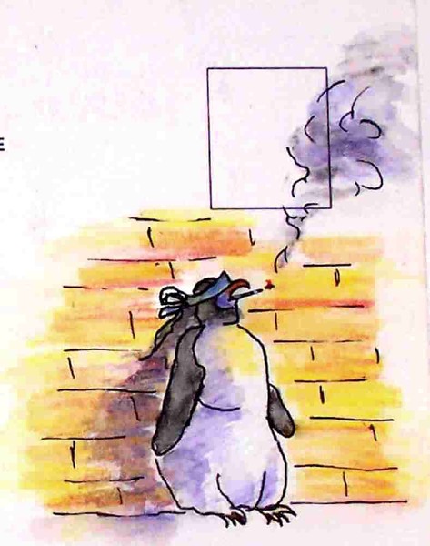 A Day In The Life Of A Penguin