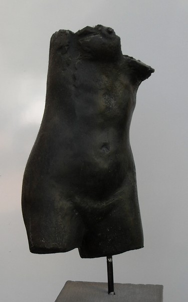 Torso