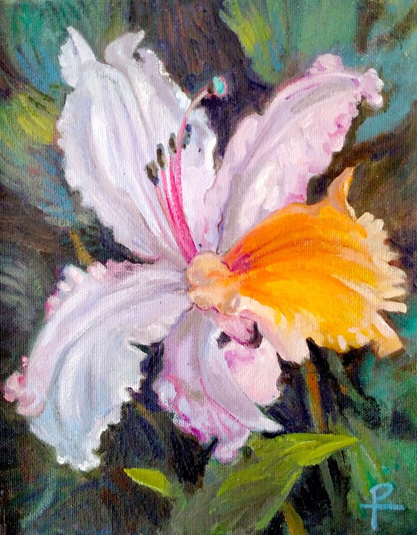 rhododendron