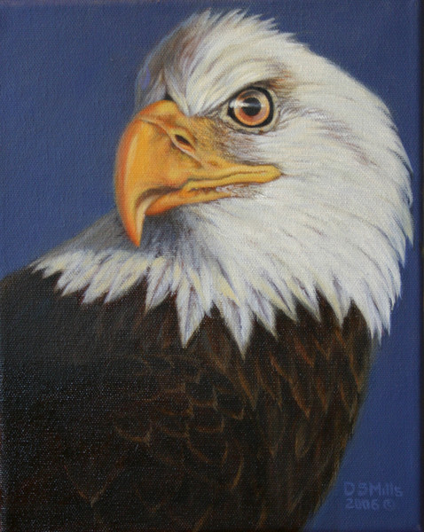 Eagle Eye