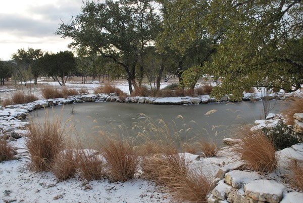 Snow in Dripping Springs