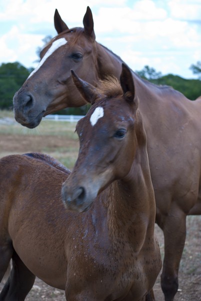 PJ and Peanut