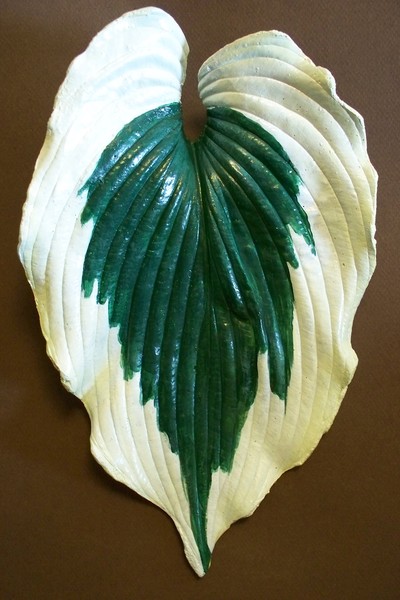 Hosta