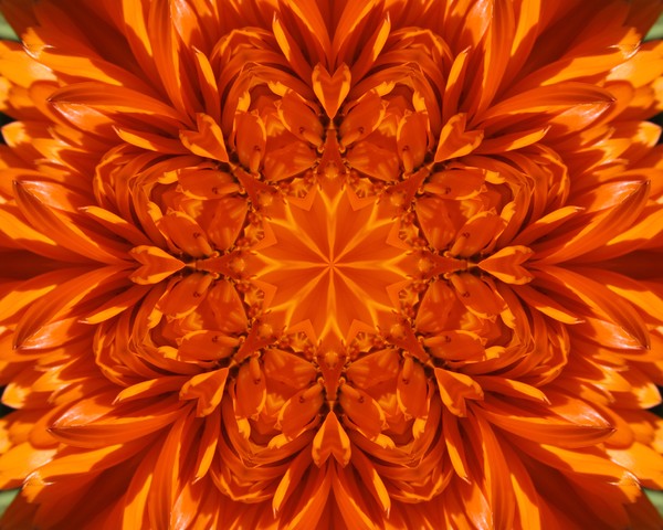 Mum Kaleidoscope