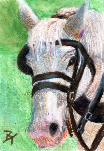 Horse Portrait aceo