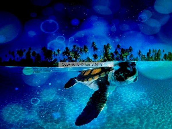 Sea Guardian 1