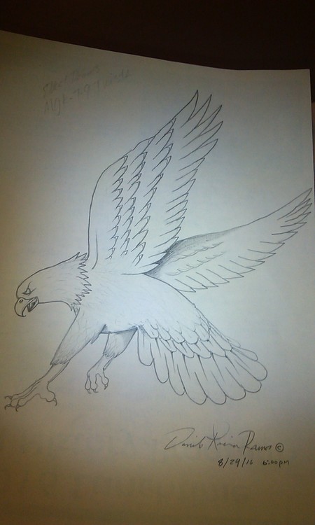 flying agila